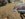 Driver's Front Corner Damage 1.jpg Driver's Front Corner Damage 1.jpg