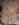 7A4DCE83-D28F-4271-A593-48E4A3BACB72.jpeg