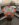 2FB8ACE5-FD4F-4146-9F35-BA10821AB8F2.jpeg