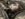 6DB7537F-652F-4085-A71D-7680C746B799.jpeg