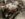 4B2AD2FF-7C42-47B9-8842-CDE5E4F60154.jpeg