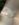 3A4A703C-669C-4656-AB43-1FF4283A2323.jpeg