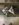 E27BA35C-95AD-4C78-84DE-210E0D16CA46.jpeg