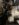 B9D34324-90CE-444F-989F-12F71CE833BA.jpeg