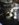 F62257B7-DB99-46BF-A341-5E6ADC05BCB2.jpeg