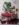 Screenshot_20191128-134220_Faceb.jpg