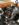 253CE85A-182C-4086-8DDC-FDF755C085D8.jpeg