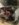 upload_2019-11-29_20-7-3.jpeg