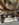6316C6FD-1B41-403B-BBFE-48D5ADEB38F1.jpeg