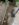 348B73F7-FE33-40FA-BC0B-7D1EBBFE662F.jpeg