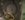 379D564C-036C-44AC-B56C-7233F2E23DC4.jpeg