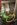 29E24A14-7B99-449B-8390-7DB258AD95E4.jpeg