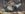 05DCFF70-AFFC-48A8-859F-0DB65ED5A0D3.jpeg