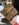 9EBAF5D9-E81A-48C3-896A-CD17A2F195DF.jpeg