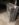 497C8429-AD92-4A33-821E-9DE4B32D67F1.jpeg