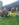D78F9612-0F83-4C31-BC6B-576E3560FCE4.jpeg