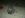 PICT1830.JPG