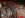 DSC04114.JPG