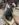 8323BDAB-A9D2-4D46-A659-58CEBB8AC145.jpeg