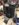 0AAD174D-0A28-49F0-815A-EEF4485941BD.jpeg