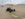 9DC4C079-46D3-4564-AB19-A8D78330F796.jpeg