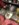 0A3F2221-DA47-4BA5-8449-BFD09BAE8473.jpeg