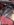CAE43445-FA3C-4B4C-8D38-CC2F5EA75A98.jpeg
