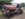 D9AE2125-E7AF-44EE-A98F-60FF0E1260A7.jpeg