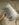 17689081-5FF7-4B8D-A059-1F147DB79F5F.jpeg