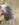 1B15442D-E8D6-4BD6-BF98-4326310F2B65.jpeg