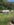 A9DB720C-8D65-4676-88D2-A12BE96D80AE.jpeg