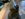 32571AD5-84C3-4B02-BB61-D02D99C5AAC4.jpeg