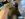 40A8438D-E3E0-4E3A-9B17-C0781DBCC978.jpeg