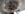D3D575AF-7605-4039-86AA-981ED11091A2.png