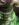 42689DF6-DD5F-475B-A823-4F60FCDCC477.jpeg