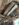 BAB79E2E-5011-43BD-968D-99D664073992.jpeg