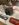 4CFC063A-BD6D-4127-A569-5AAE97FD4E45.jpeg