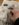 97287D98-966C-4327-9E42-C6CA50E3C14A.jpeg