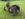 A4549ACC-EC1B-443E-9AB6-0A6E3010FDB7.jpeg