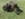 6050F337-F276-4D34-B16E-DD36988A99CE.jpeg