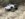 8314B9FF-8390-483E-851C-B48F06B6AB92.jpeg