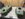 CE3F91B5-A3E4-44E4-98B7-0B4088A53BF2.jpeg