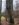 F385F992-B7A9-437C-A478-2B70D488835D.jpeg