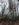 113B8671-C87B-46F9-A8A3-20D3C5BBC5FF.jpeg
