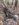 0CE7B125-888B-464C-AE5B-F58A423897FE.jpeg
