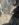92E31C4B-AE23-4B1E-A0DA-39F5BBC67F92.jpeg