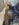 5C78D48E-4B9A-405D-9713-6D69BE31B2F8.jpeg