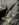 7665F75B-9817-4244-B2A1-0F7FE6AF7D97.jpeg