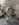 4981CB3A-160A-4A64-AF46-169606191AE1.jpeg