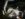 A3A8559D-C8B9-4D2C-B8E7-D5C0C027AC12.jpeg